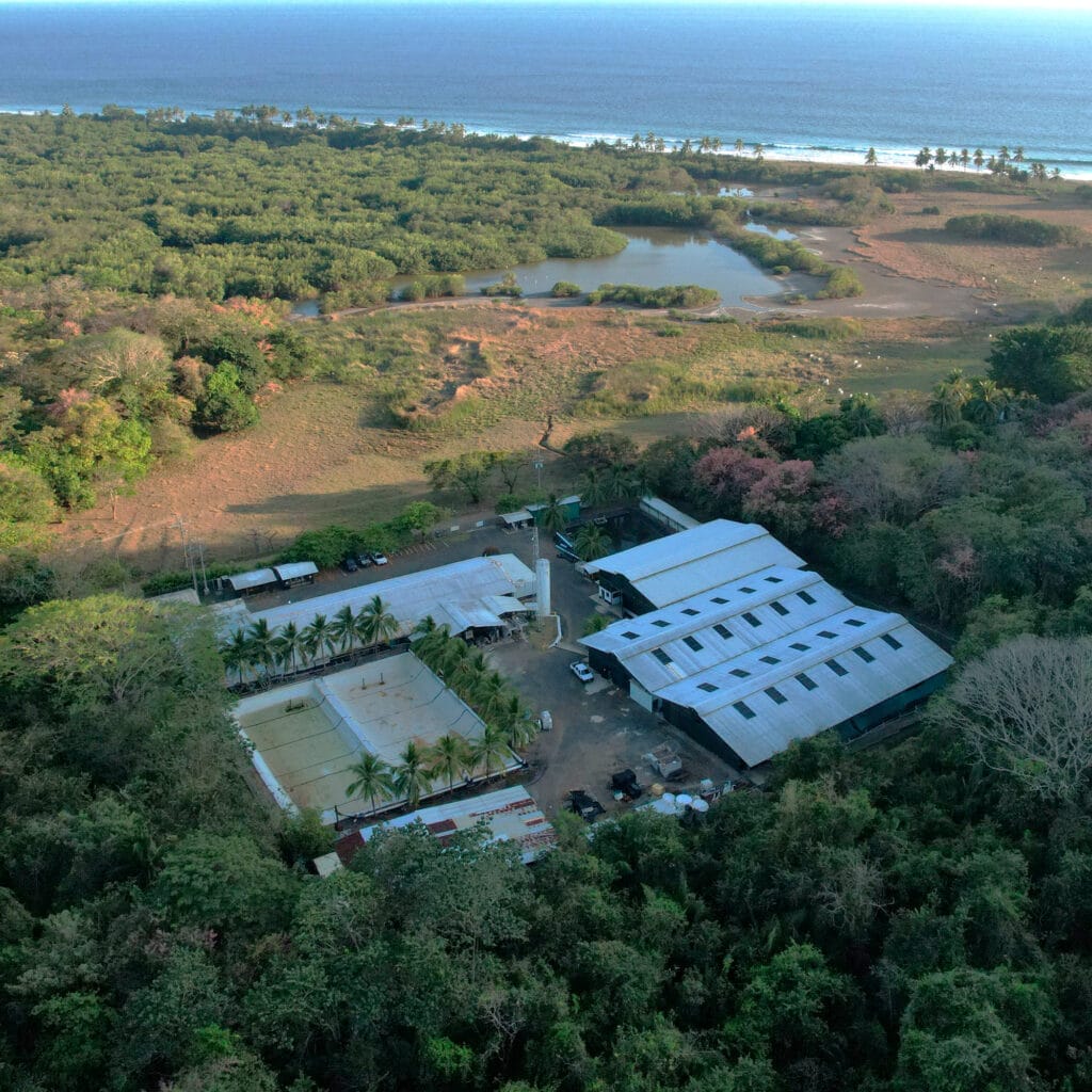 Ocean’s Oasis - Blue Startup Innovation Ocean’s Oasis - Blue Startup Innovation